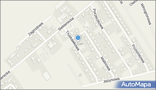 Onko-Technik, Truskawkowa 7, Gowarzewo 63-004 - Przedsiębiorstwo, Firma, NIP: 8992521455