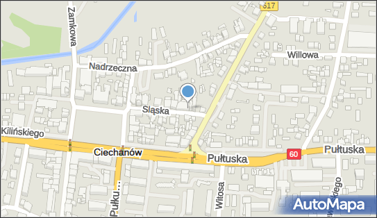 ON, Śląska 11, Ciechanów 06-400 - Przedsiębiorstwo, Firma, NIP: 5662011028
