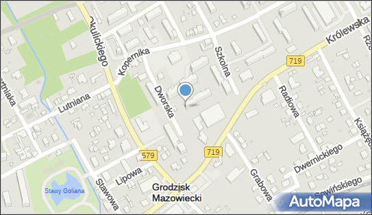 Oprawa Obrazów, Dworska 2B, Grodzisk Mazowiecki 05-825 - Przedsiębiorstwo, Firma, NIP: 5291036748