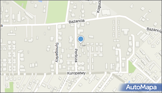 9511802538, Fiori Karolina Zawłocka 