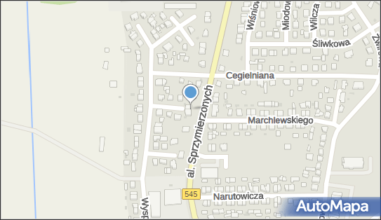 Orchestra, Aleja Sprzymierzonych 35, Nidzica 13-100 - Przedsiębiorstwo, Firma, numer telefonu, NIP: 7451233017
