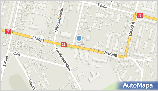 Orchidea Zuzanna Czarnecka, 3 Maja 61, Zgierz 95-100 - Przedsiębiorstwo, Firma, NIP: 7321051022