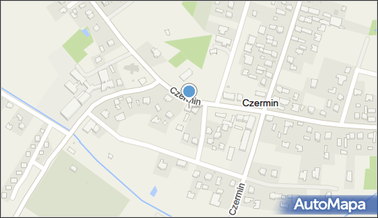 Orchidea, Czermin 463, Czermin 39-304 - Przedsiębiorstwo, Firma, NIP: 8171406960