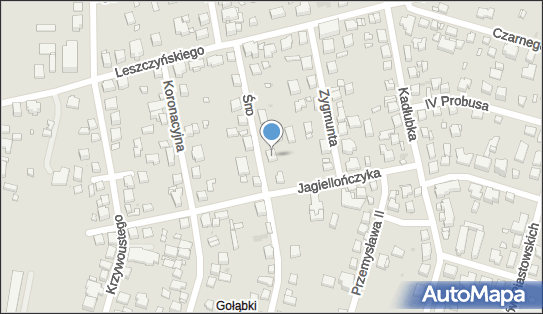 Ortoklaz, Bolesława Śmiałego 11, Warszawa 02-496 - Przedsiębiorstwo, Firma, NIP: 5221748107