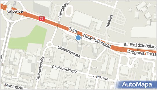 9541225867, Jokiel Ginter Taksówka Osobowa nr 1088 