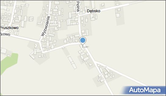9950134168, OSP w Dębsku 
