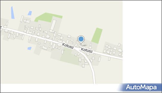 9950213241, OSP w Kotuszu 