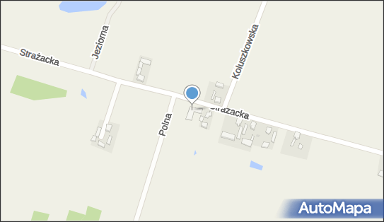 OSP w Będzelinie, ul. Strażacka 16, Będzelin 95-040 - Przedsiębiorstwo, Firma, NIP: 8331338642