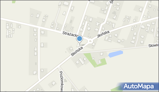 OSP w Bieniewicach, ul. Błońska 92, Bieniewice 05-870 - Przedsiębiorstwo, Firma, NIP: 1181683692