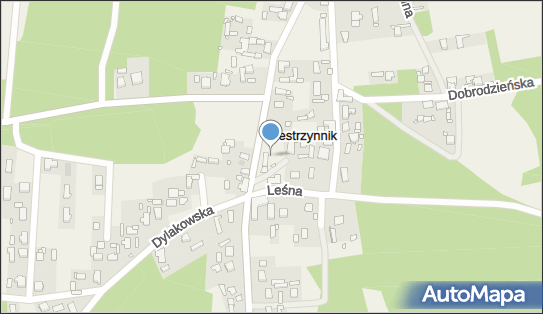 160339786, OSP w Biestrzynniku 