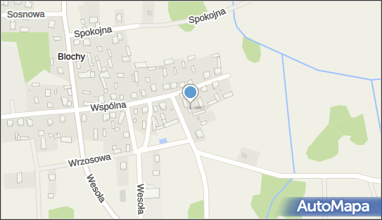 OSP w Blochach, Blochy 13, Blochy 07-210 - Przedsiębiorstwo, Firma, NIP: 7621610419