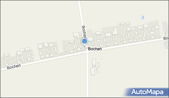 OSP w Bocheniu, Bocheń 60, Bocheń 99-400 - Przedsiębiorstwo, Firma, NIP: 8341704226