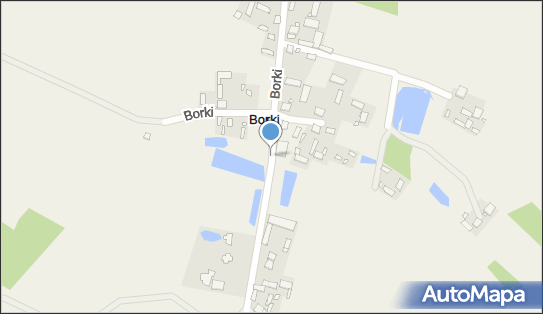 OSP w Borkach, Borki, Borki 05-317 - Przedsiębiorstwo, Firma, NIP: 8222294650