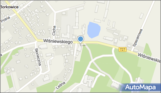 OSP w Borkowicach, ul. ks. Jana Wiśniewskiego 7, Borkowice 26-422 - Przedsiębiorstwo, Firma, numer telefonu, NIP: 7991876210