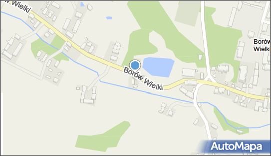 OSP w Borowie Wielkim, Borów Wielki 42A, Borów Wielki 67-125 - Przedsiębiorstwo, Firma, numer telefonu, NIP: 9252066492