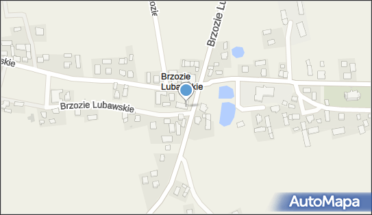 OSP w Brzoziu Lubawskim, Brzozie Lubawskie 35, Brzozie Lubawskie 13-306 - Przedsiębiorstwo, Firma, NIP: 8771422708