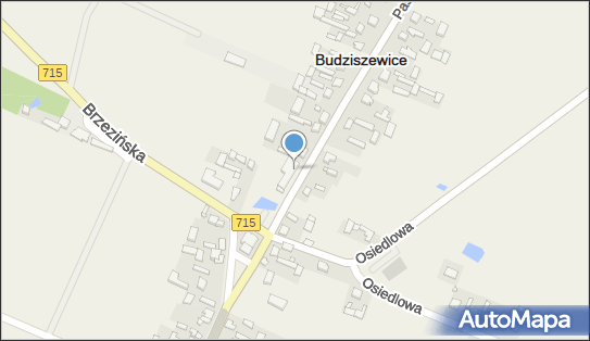 OSP w Budziszewicach, ul. Jana Chryzostoma Paska 62, Budziszewice 97-212 - Przedsiębiorstwo, Firma, numer telefonu, NIP: 7731818121