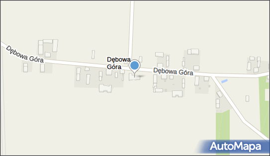 OSP w Dębowej Górze, Dębowa Góra 24, Dębowa Góra 99-311 - Przedsiębiorstwo, Firma, numer telefonu, NIP: 7752464071