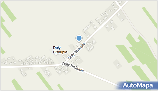 6612168490, OSP w Dołach Biskupich 