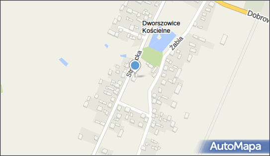 7721992107, OSP w Dworszowicach Kościelnych 