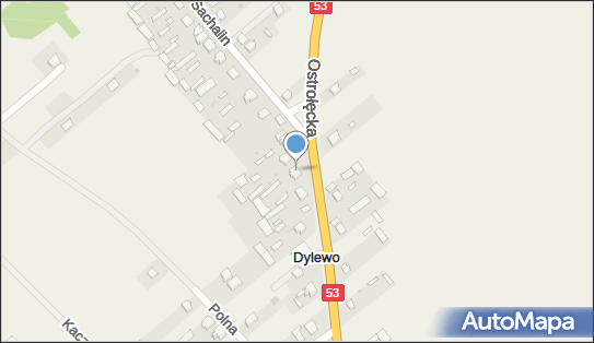 7581958196, OSP w Dylewie 