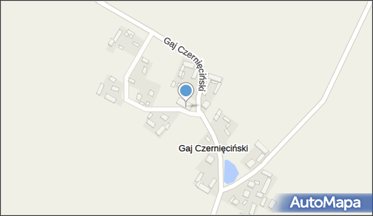 OSP w Gaju Czenięcińskim, Gaj Czernięciński 13 23-465 - Przedsiębiorstwo, Firma