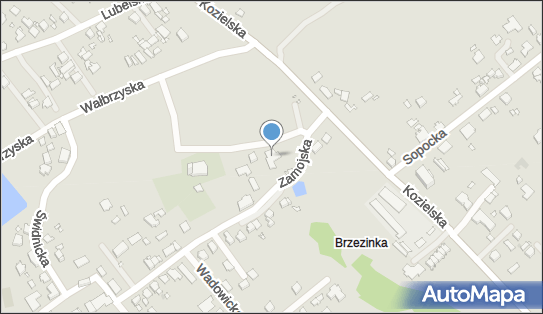 9691607441, OSP w Gliwicach-Brzezince 