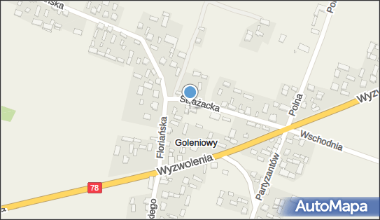 OSP w Goleniowach, ul. Strażacka 4, Goleniowy 42-445 - Przedsiębiorstwo, Firma, numer telefonu, NIP: 6491986751
