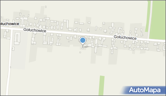 6491893825, OSP w Gołuchowicach 