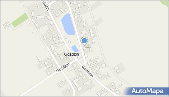 9950233166, OSP w Goździnie 