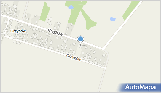 4960155577, OSP w Grzybowie 