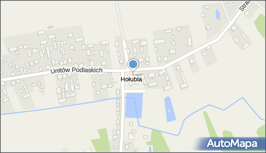8212156768, OSP w Hołubli 