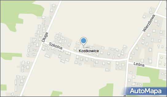 OSP w Kostkowicach, ul. Szkolna 20, Kostkowice 42-425 - Przedsiębiorstwo, Firma, NIP: 6491982291