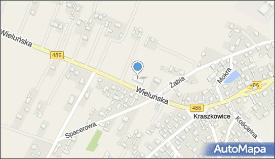 OSP w Kraszkowicach, ul. Wieluńska 38, Kraszkowice 98-324 - Przedsiębiorstwo, Firma, NIP: 8321854508