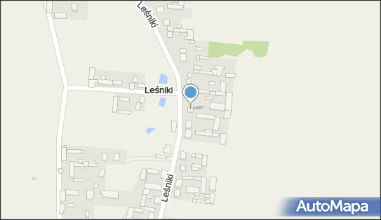 8241761934, OSP w Leśnikach 