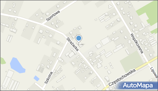 5732536406, OSP w Lubojnie 