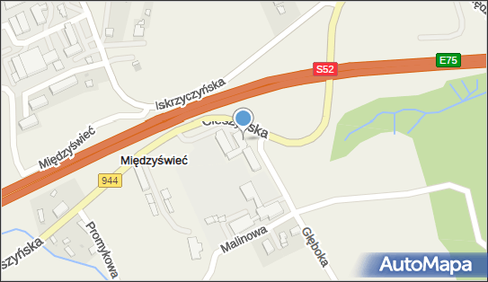 5482345006, OSP w Międzyświeciu 