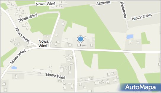 OSP w Nowej Wsi, Nowa Wieś 90, Nowa Wieś 36-100 - Przedsiębiorstwo, Firma, numer telefonu, NIP: 8141529416