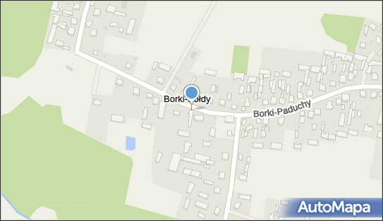 OSP w Paduchach, Borki-Paduchy 86C, Borki-Paduchy 08-112 - Przedsiębiorstwo, Firma, NIP: 8212171549
