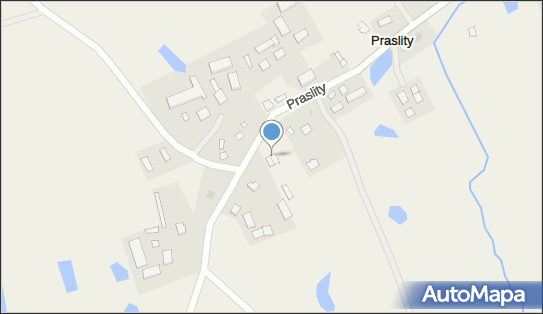 7393474223, OSP w Praslitach 