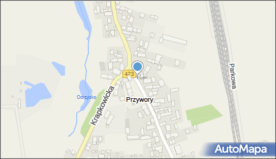 9910178538, OSP w Przyworach 