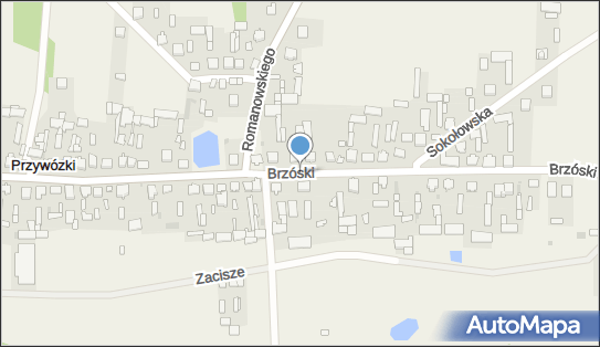 OSP w Przywózkach, ul. ks. Brzóski, Przywózki 08-300 - Przedsiębiorstwo, Firma, numer telefonu, NIP: 8231481073