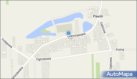 5311490032, OSP w Psucinie 