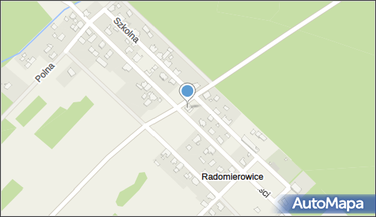 9910159156, OSP w Radomierowicach 