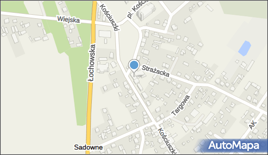 8241614529, OSP w Sadownem 