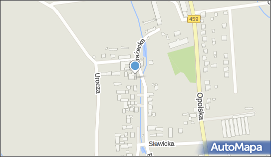 9910242839, OSP Opole Sławice 