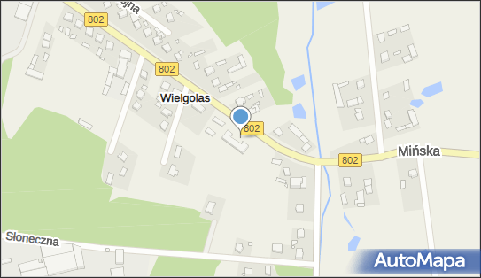 8222090930, OSP w Wielgolesie 