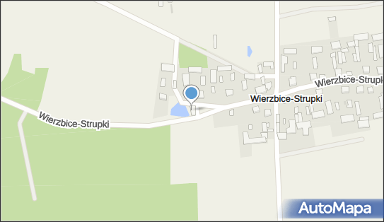 8231482687, OSP w Wierzbicach Strupkach 