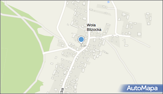 OSP w Woli Blizockiej, Wola Blizocka 51, Wola Blizocka 21-146 - Przedsiębiorstwo, Firma