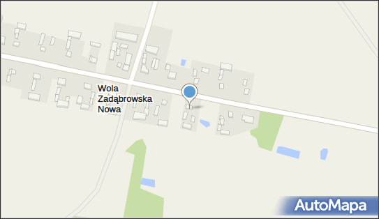 OSP w Woli Zadąbrowskiej, Wola Zadąbrowska 2, Wola Zadąbrowska 98-290 - Przedsiębiorstwo, Firma, NIP: 8272161098